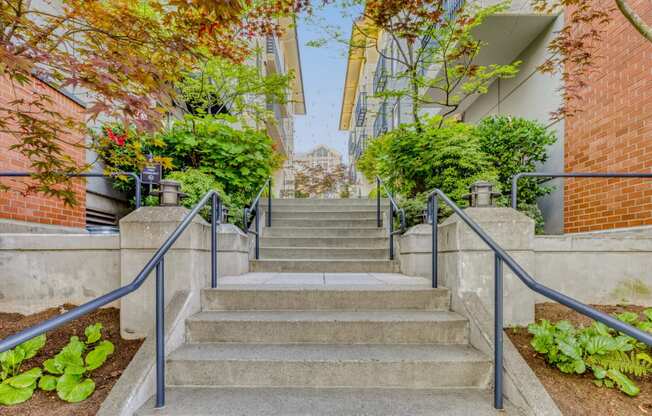 Courtyard views at Tera Apartments