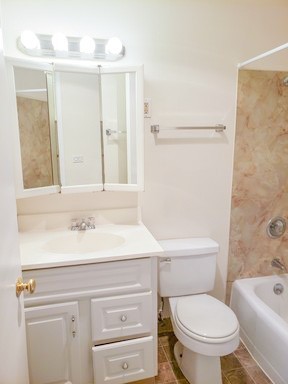 1 bed, 1 bath, 475 sqft, $1,250, Unit 207