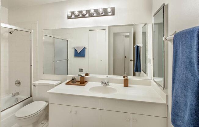  Bathroom Mirrors at Orion ParkView, Mount Prospect
