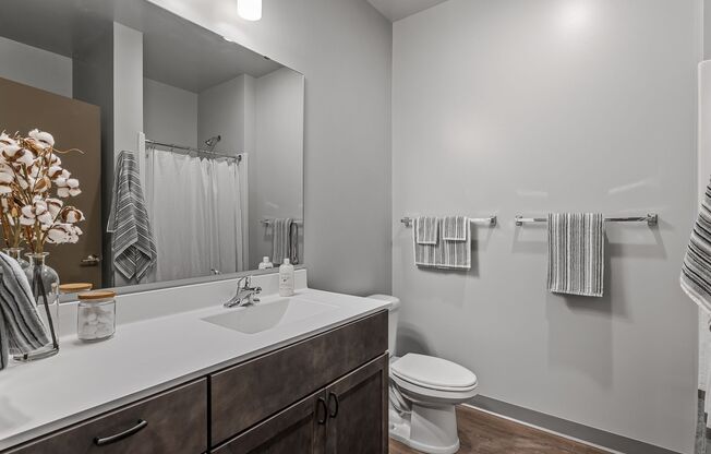 1 bed, 1 bath, 553 sqft, $1,550, Unit 303
