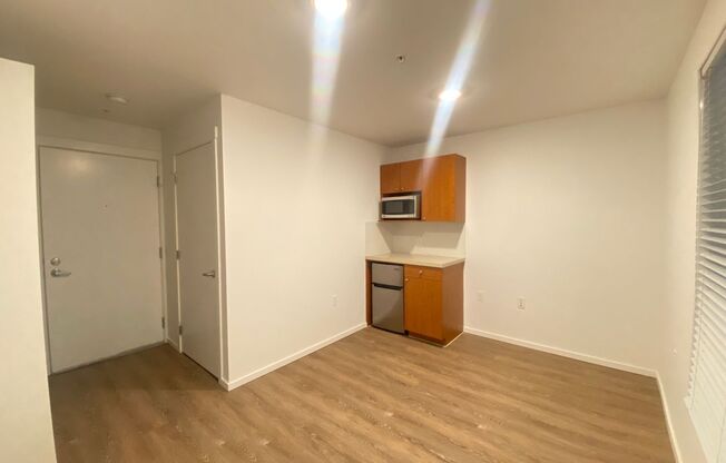 Studio, 1 bath, 176 sqft, $1,205, Unit 5205