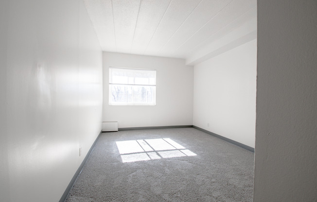1 bed, 1 bath, 529 sqft, $850, Unit Pine Cone Village C-24
