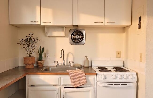 1 bed, 1 bath, 500 sqft, $1,375, Unit 2