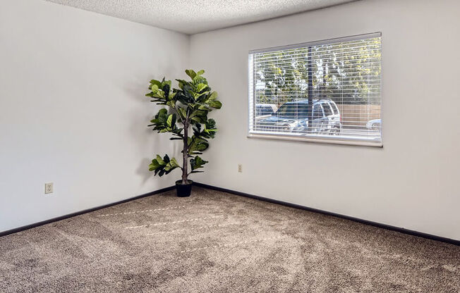 Bedroom with window at country green apartments