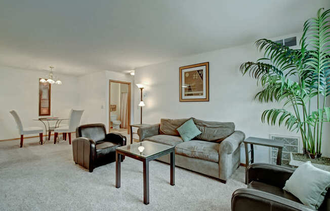 A bright living room here at Arbor Ridge featuring a beige sofa, dark accent chairs, and a glass coffee table. Large greenery and soft carpet create a cozy, welcoming feel with an open dining area beyond.
