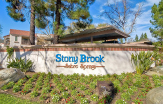Charming 1 Bedroom Condo in Stoney Brook