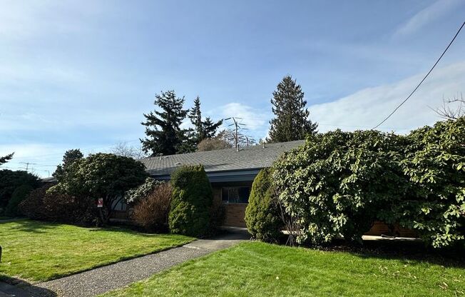 Beautiful and cozy updated one bedroom apartment in Downtown Renton.