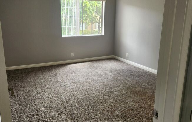 1 bed, 1 bath, 725 sqft, $1,995, Unit 215
