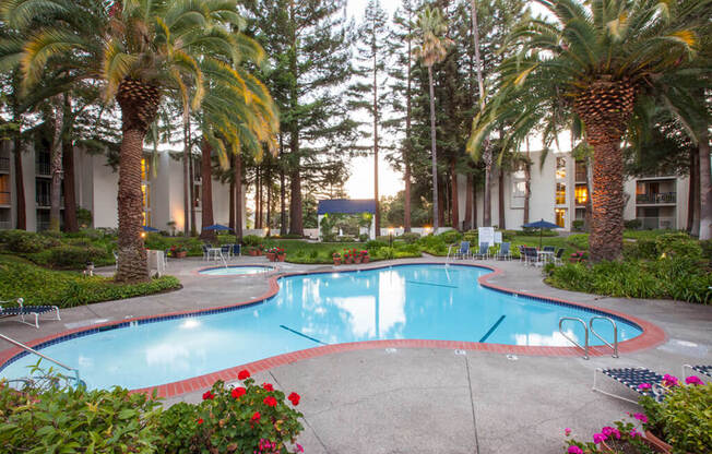 Invigorating Swimming Pool at Castlewood, Walnut Creek, California