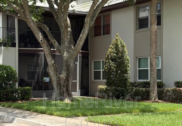 67 WINDTREE BLDG 1 LN