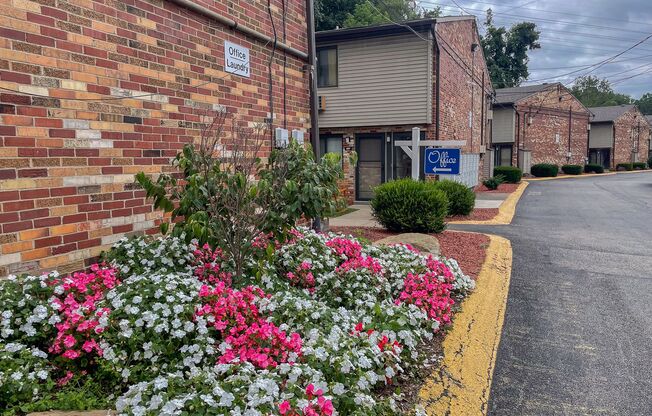 The Meadows Apartments (NEW)