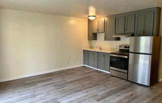 Studio, 1 bath, 462 sqft, $1,750, Unit 109