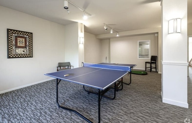 A ping pong table is in the middle of a room with a carpeted floor.