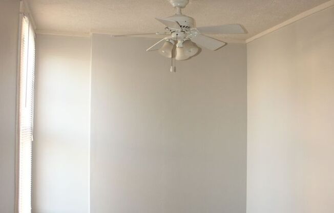 PRELEASING for AUGUST! Close to Campus: Dishwasher and Washer/Dryer Included