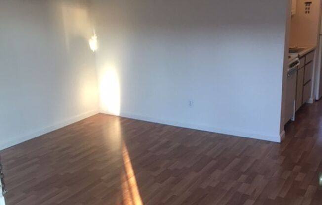 Studio, 1 bath, 355 sqft, $1,325, Unit 301