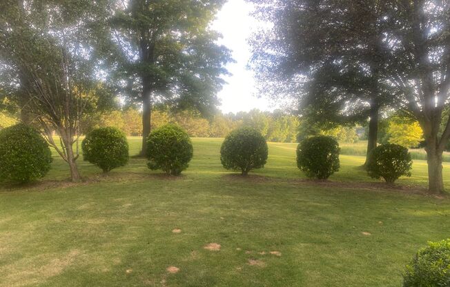 Immaculate Northstone Home Located on the 12th Hole