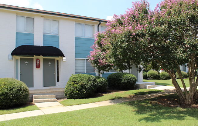 crepe myrtles blooming in front of Sherwood Park Apartments in Huntsville  at Huntsville Landing Apartments, Huntsville, Alabama