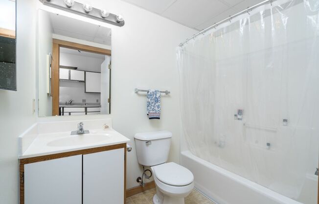 1 bed, 1 bath, 590 sqft, $1,250, Unit 224