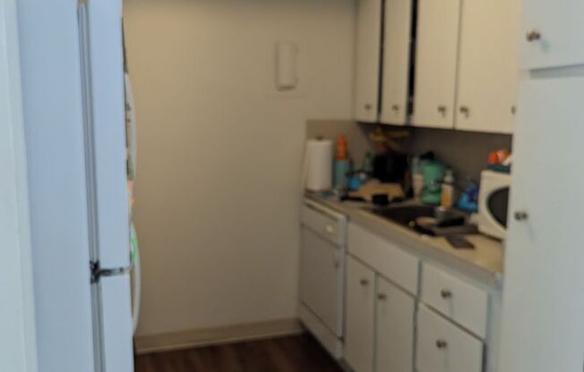 1 bed, 1 bath, 570 sqft, $3,000, Unit 1707