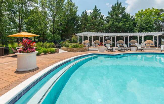 Resort Style Swimming Pool at Windsor Herndon, Virginia, 20171