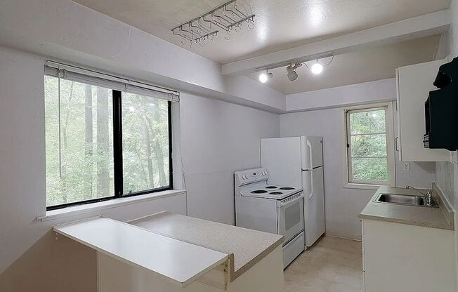 Cozy Mountain Studio