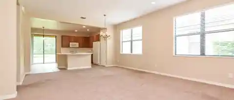 20355 CHESTNUT GRV DR
