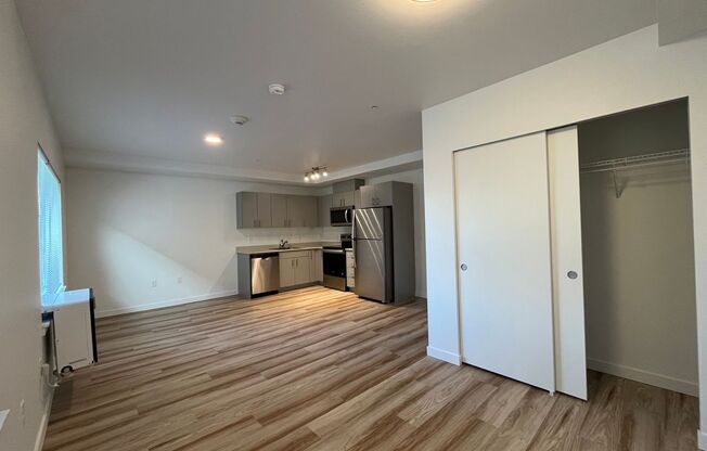 Studio, 1 bath, 480 sqft, $1,725, Unit 134