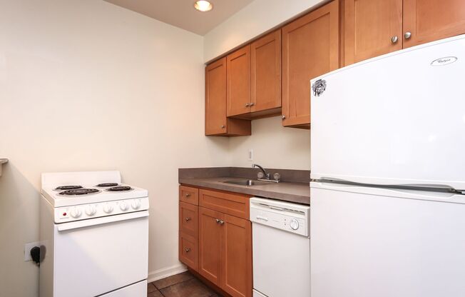 1 bed, 1 bath, 383 sqft, $1,699, Unit 1309-5