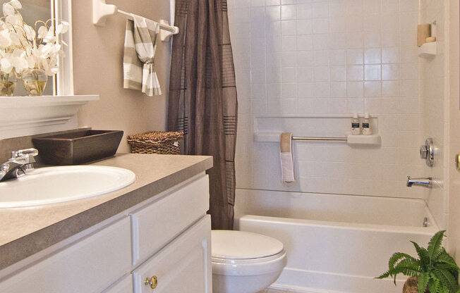 Bathroomat Orleans Apartments, Columbus, OH, 43221