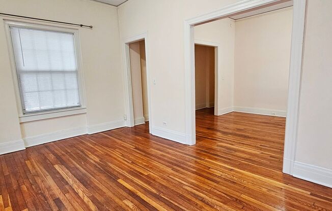 1 bed, 1 bath, 550 sqft, $1,500, Unit 113