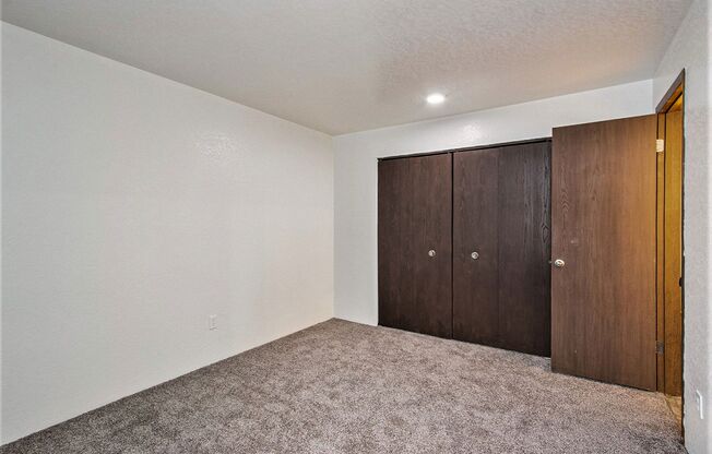 a room with carpet and two closet doors