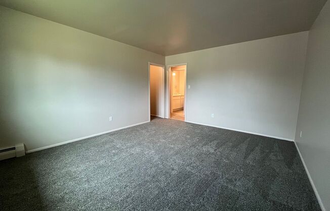1 bed, 1 bath, $1,295, Unit 215
