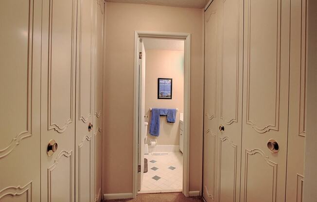 Image of hallway with large closet and entrance to bathroom