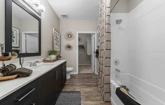 Welcome to 601 Pax Apartments in Downtown Phoenix