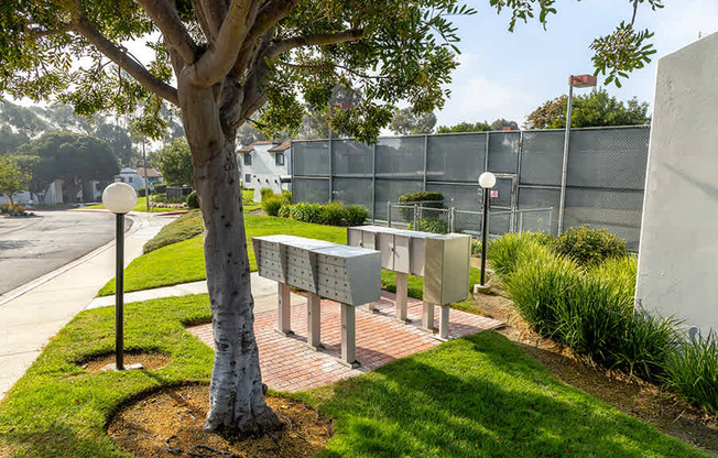 A tree stands next to a bench with a metal fence in the background.