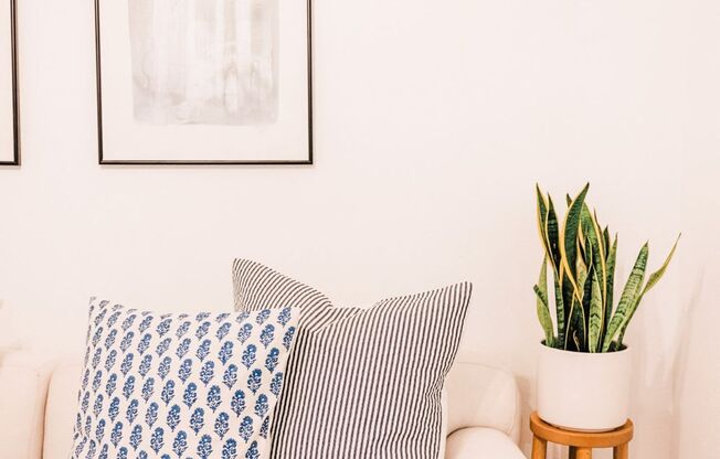 Haven Rio | Boutique Living in Mesa