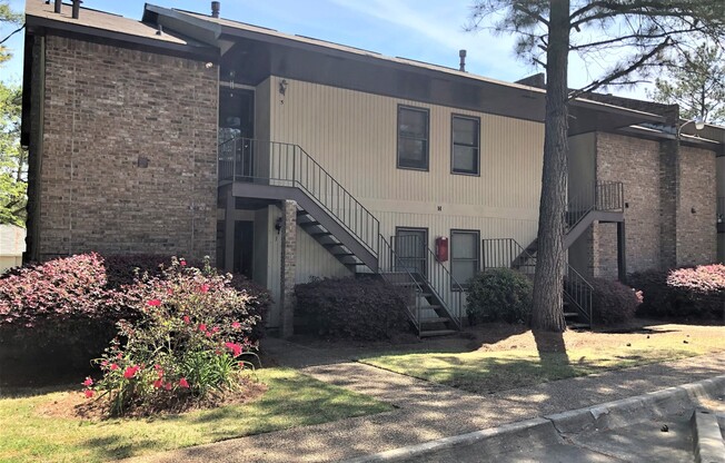 Cooper Creek Village