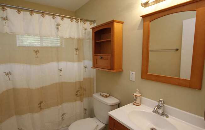 Bathroom at South Ridge Apartments in Raleigh NC