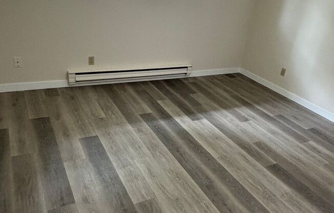 1 bed, 1 bath, 660 sqft, $1,795, Unit 316