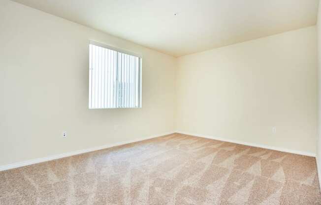 Beige Carpet In Bedroom at The Verandas, Canoga Park, CA, 91304