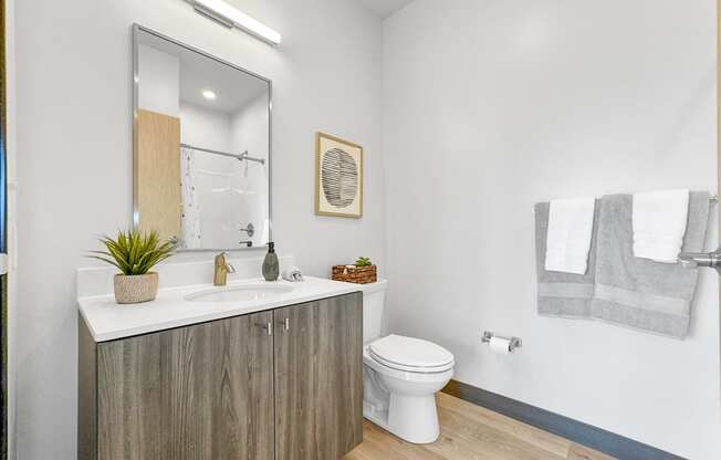 a bathroom with a toilet and a sink and a mirror