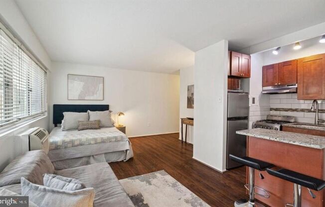 Studio, 1 bath, 420 sqft, $1,400, Unit 901