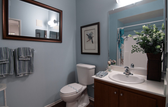 A bathroom with a toilet, sink, mirror, and a plant.