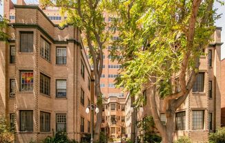 Cap Hill Beautiful 2 Bed Charming and Light Filled condo in the Blenheim