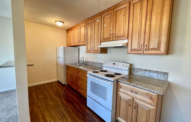 Studio, 1 bath, 375 sqft, $1,595, Unit 228