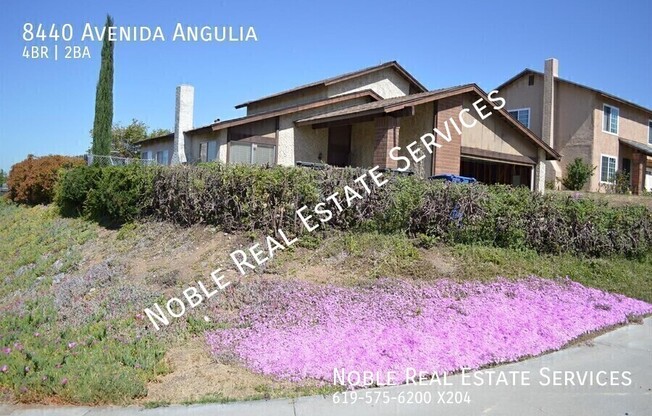 8440 ANGULIA