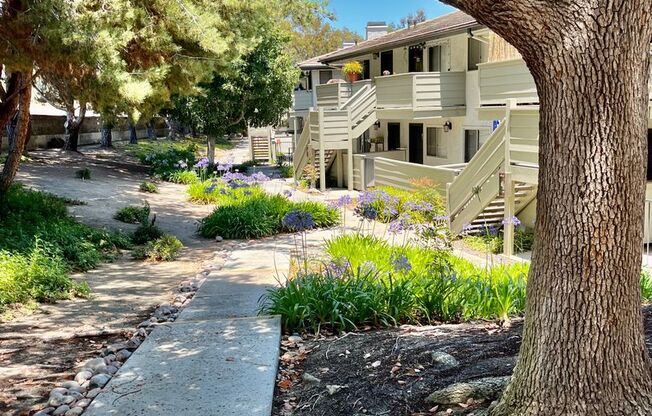 1 bed, 1 bath, $2,095, Unit 20