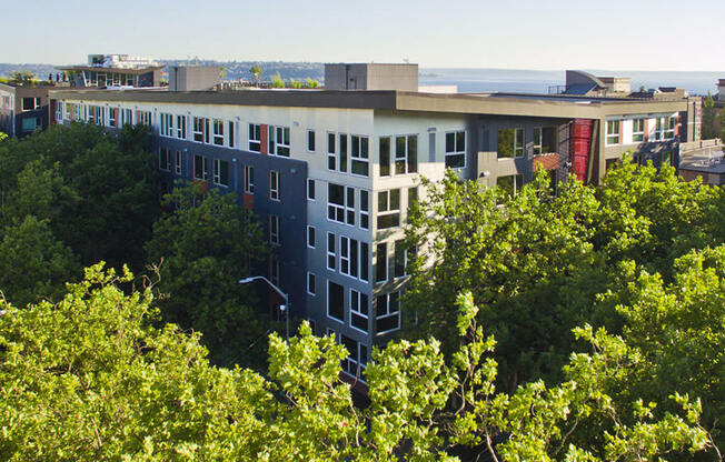 Property- aerial at Astro Apartments, Seattle, 98109