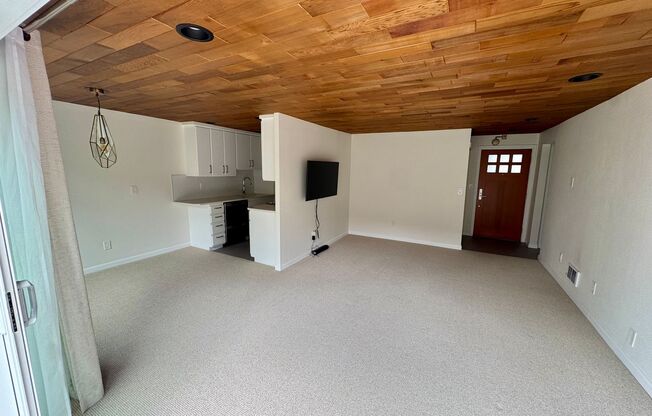 1 bed, 1 bath, $3,000, Unit Unit 101