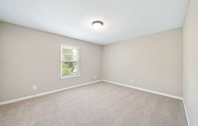 A room with a carpeted floor and a window with blinds.